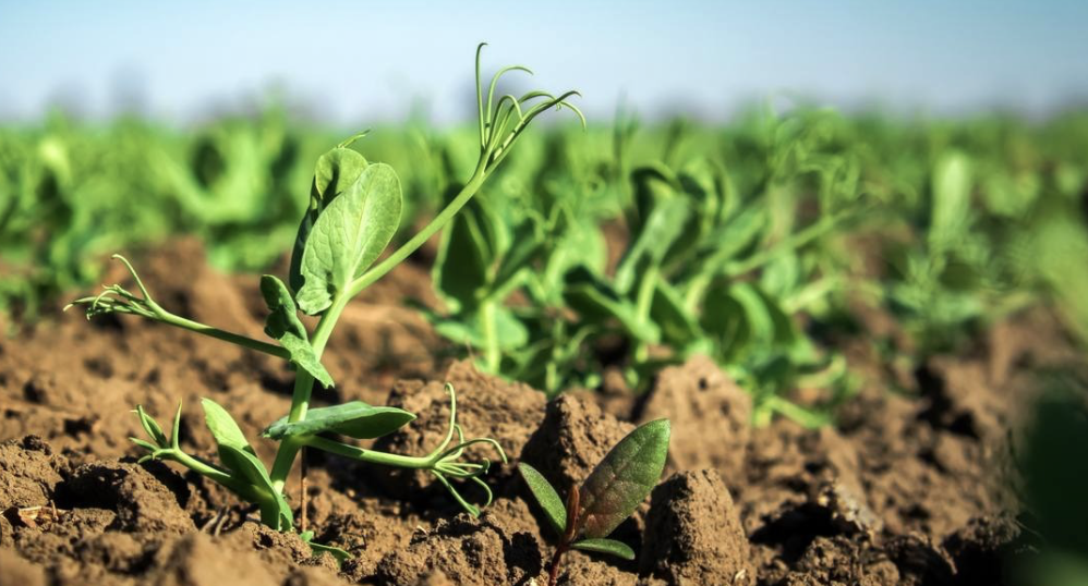 screenshot 2026 01 16 at 18.41.24